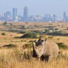 Nairobi National Park2
